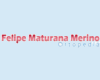 Felipe Maturana Merino Viña Del Mar