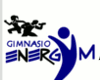 Gimnasio Energym Pudahuel
