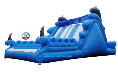 Foto de juegoinflable.com Las Condes
