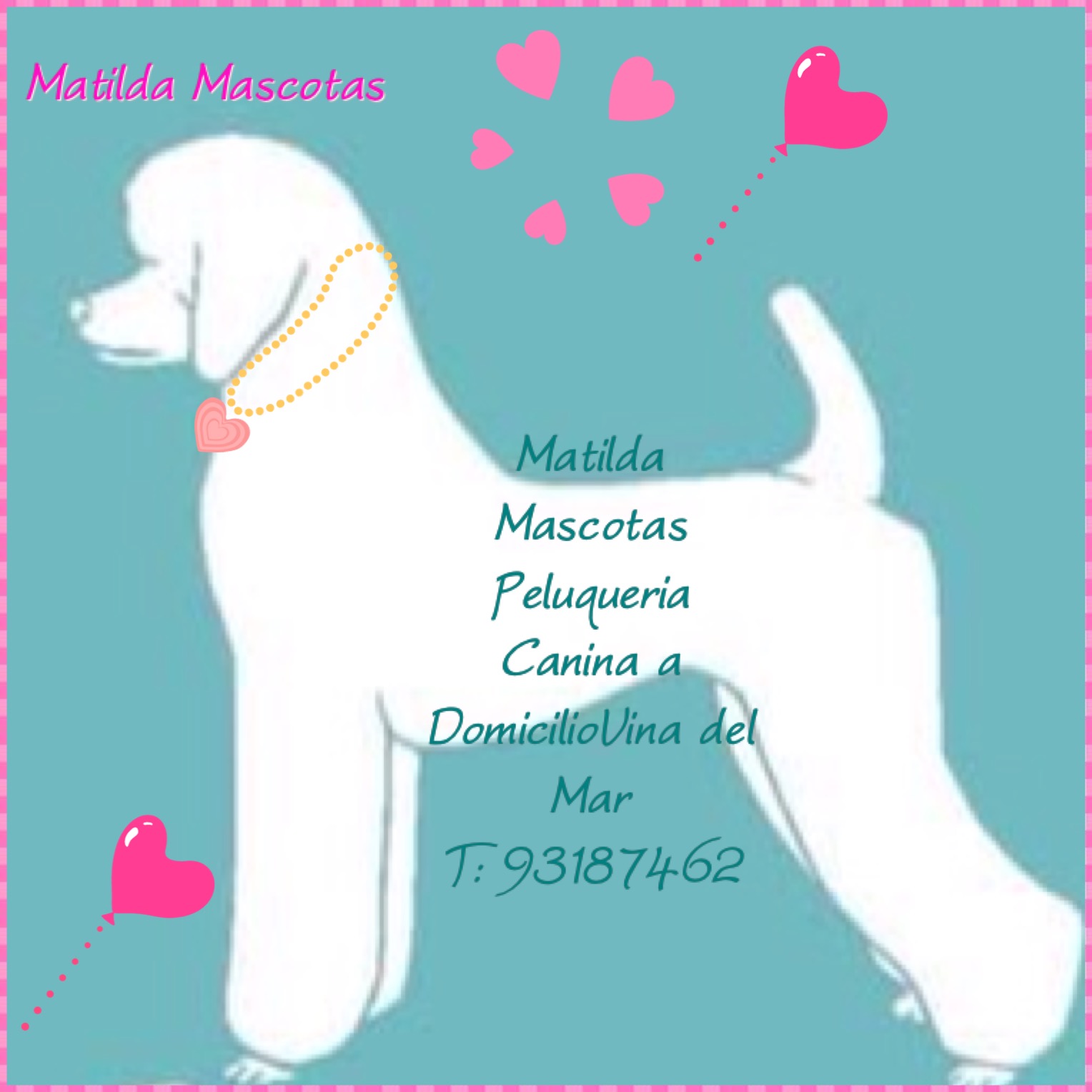 MATILDA MASCOTAS  Viña Del Mar